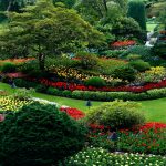 Garden landscaping birmingham