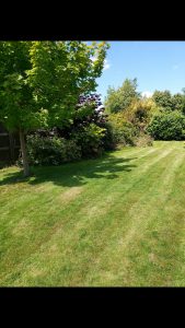 T&A Birmingham Gardeners project photo