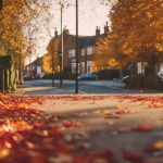 Autumn Leaf Clearance Bartley Green 4 autumn leaf cleanup service