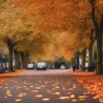 Autumn Leaf Clearance Edgbaston 5 autumn leaf removal services