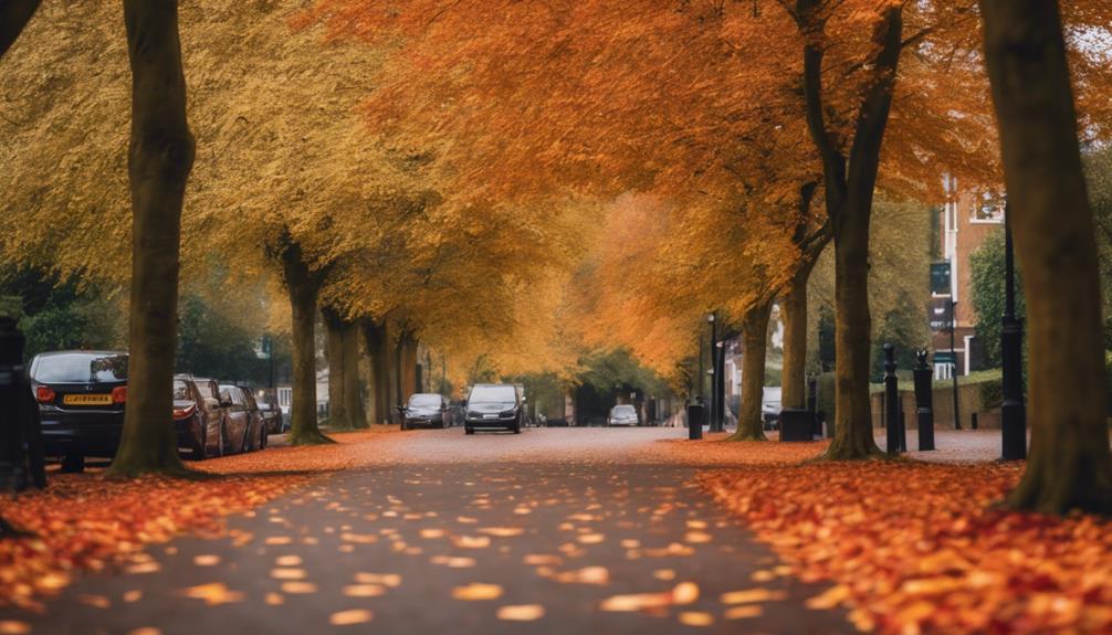 Autumn Leaf Clearance Edgbaston 6 autumn leaf removal services