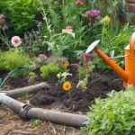 Top 5 Garden Maintenance Mistakes to Avoid 3 avoid common garden mistakes
