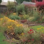 Top Garden Maintenance Mistakes to Avoid 4 avoid common garden mistakes