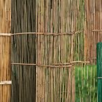 Top 5 Garden Fencing Materials to Consider 5 best garden fencing options