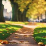 Sidewalk and Pathway Cleaning Bournville 4 cleaning bournville s outdoor spaces