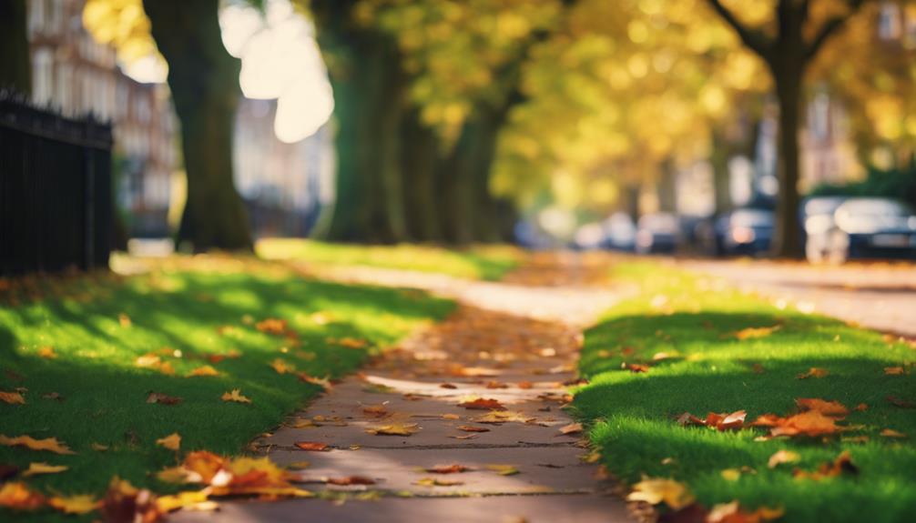 Sidewalk and Pathway Cleaning Bournville 4 cleaning bournville s outdoor spaces