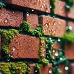 Exterior Wall Cleaning Selly Oak 4 cleaning selly oak exteriors