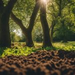 Tree Planting Selly Oak 4 community led green initiative