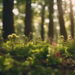 Tree Planting Bearwood 4 community led urban renewal