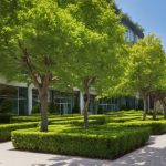 7 Key Tree Care Services for Commercial Properties 3 essential tree care services