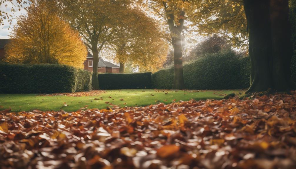 Leaf Clearance Smethwick 6 expert clutter removal services
