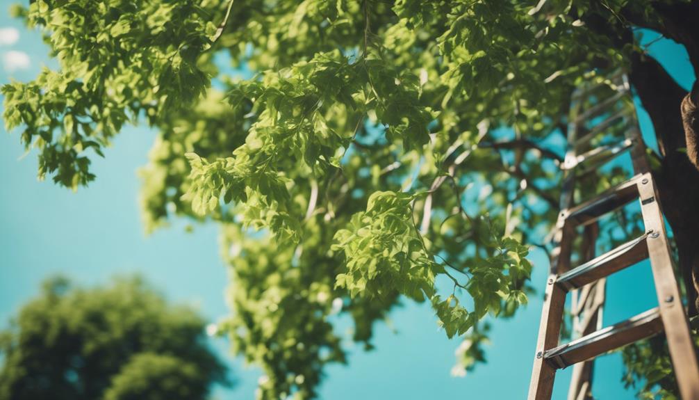 Tree Pruning Quinton 6 expert solutions for business