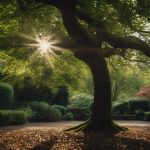 Tree Pruning Bournville 4 expert tree care services