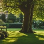 Tree Pruning Harborne 4 expert tree pruning services