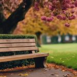 General Garden Tidying Selly Oak 5 gardening services in selly