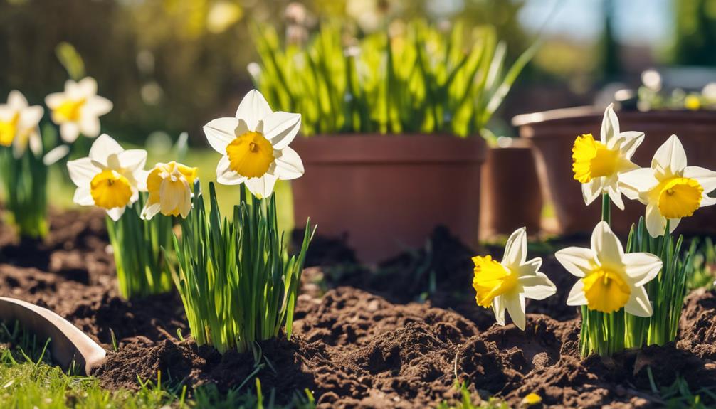 Spring Garden Preparation Oldbury 6 getting ready for spring