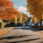Leaf Clearance Halesowen 3 leaf clearance in halesowen