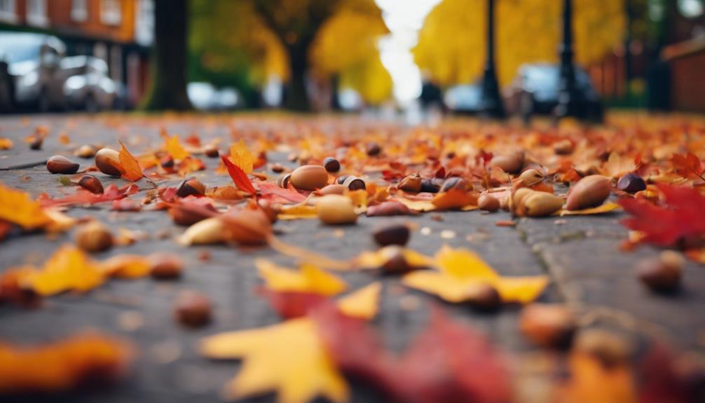 Autumn Leaf Clearance Harborne 4 leaf collection in harborne