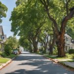 Why Choose Local Emergency Tree Removal Services? 4 local emergency tree removal