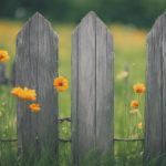 Fence Repair Edgbaston 4 local fence repair services