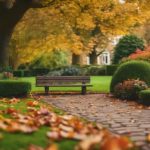 General Garden Tidying Bearwood 3 local gardening services provided