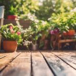 Patio and Deck Cleaning Edgbaston 3 outdoor space cleaning experts