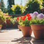 Patio and Deck Cleaning Harborne 4 outdoor space cleaning services