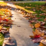 Sidewalk and Pathway Cleaning Northfield 3 outdoor surface cleaning services