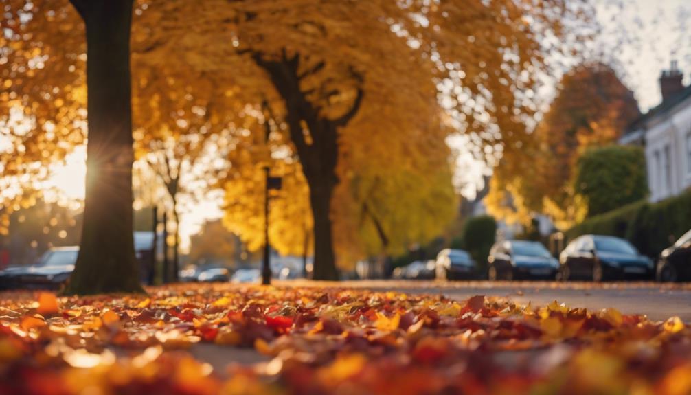 Autumn Leaf Clearance Edgbaston 9 plan your service appointment