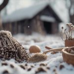 Winter Garden Preparation Quinton 5 prepare your winter garden