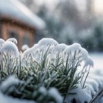 Winter Garden Preparation Selly Oak 4 preparing garden for winter