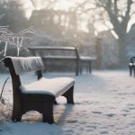 Winter Garden Preparation Harborne 4 preparing your winter garden