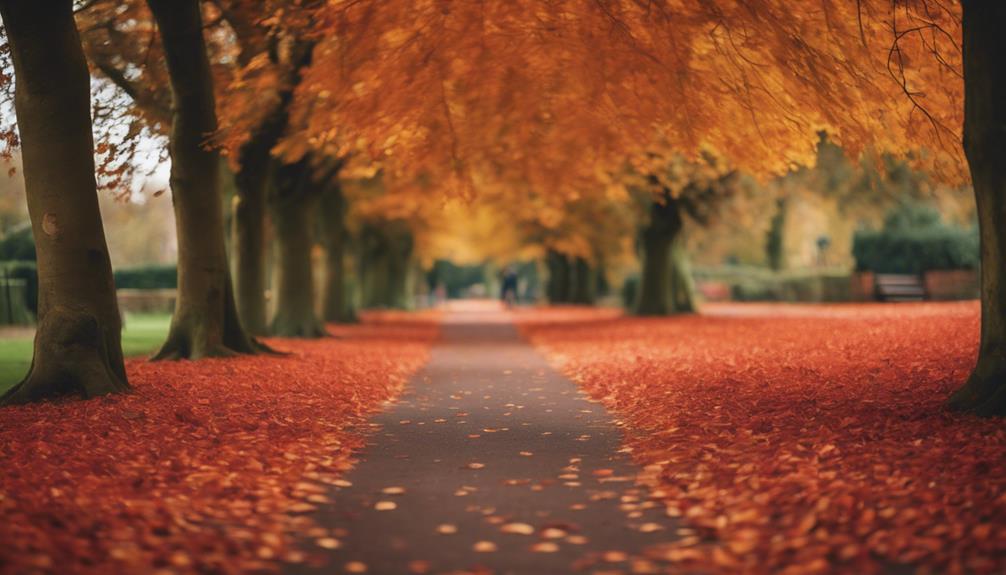 Autumn Leaf Clearance Bartley Green 7 preventing rail track damage