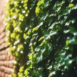 Exterior Wall Cleaning Quinton 4 professional exterior wall cleaning