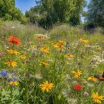 What Are the Benefits of Native Plant Gardens? 3 promote biodiversity conserve resources
