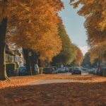 Leaf Clearance Bartley Green 5 railway leaf clearance team