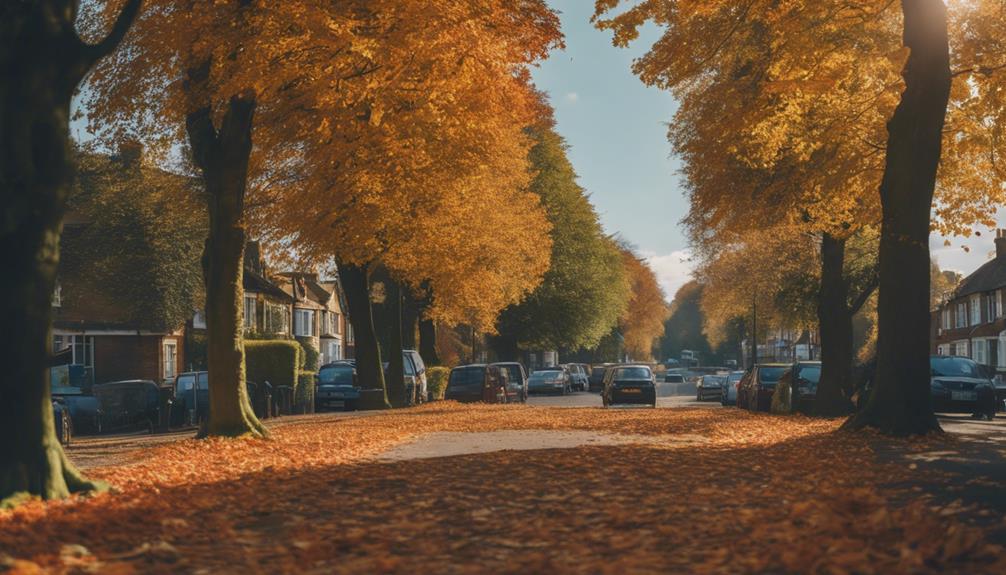 Leaf Clearance Bartley Green 6 railway leaf clearance team