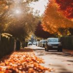 Leaf Clearance Quinton 4 railway line maintenance focus