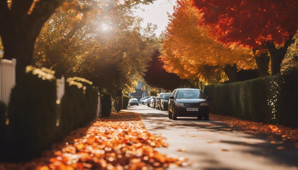 Leaf Clearance Quinton 6 railway line maintenance focus