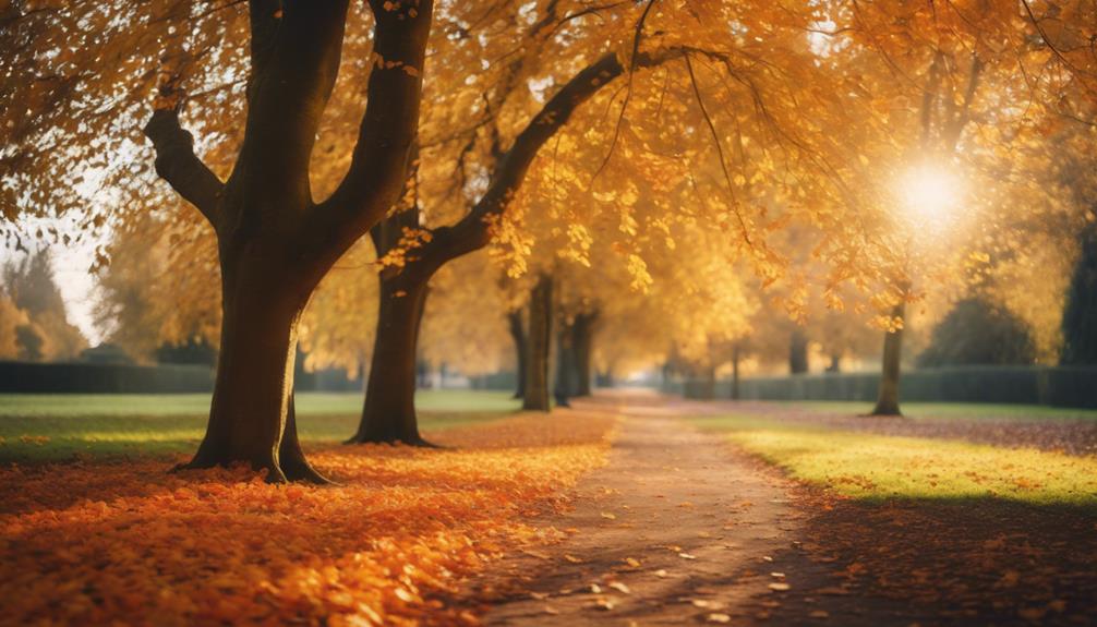 Leaf Clearance Oldbury 4 railway line maintenance priority