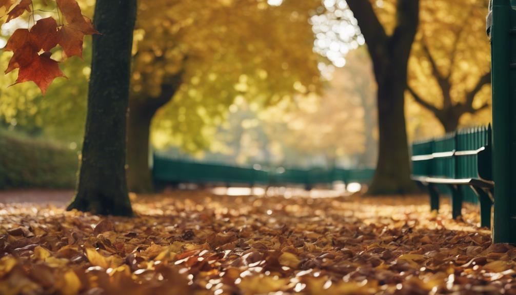 Autumn Leaf Clearance Halesowen 8 reducing environmental carbon footprint