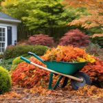 Steps for Effective Seasonal Garden Cleanup 4 seasonal garden cleanup steps