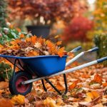 What Steps to Schedule Seasonal Garden Cleanup? 3 seasonal garden cleanup steps