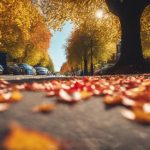 Autumn Leaf Clearance Halesowen 5 seasonal yard waste removal