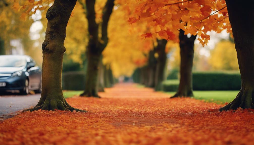 Autumn Leaf Clearance Selly Oak 9 selecting a reliable provider