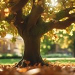 Tree Pruning Selly Oak 5 selly oak tree maintenance