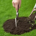 5 Best Lawn Renovation Services for Neglected Yards 5 top lawn renovation services