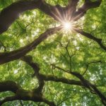 10 Tips for Tree Health Assessment and Care 5 tree health assessment tips