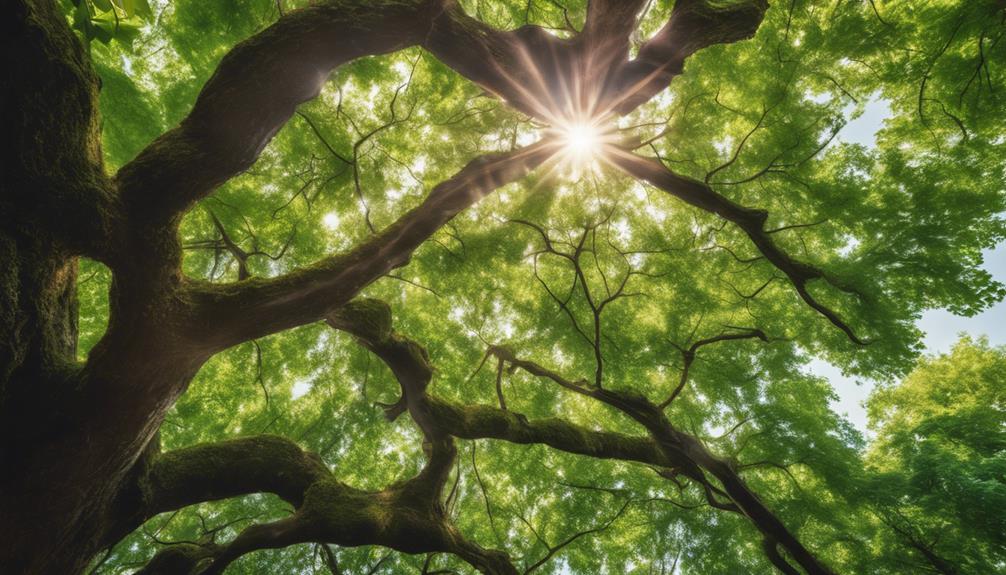 10 Tips for Tree Health Assessment and Care 6 tree health assessment tips