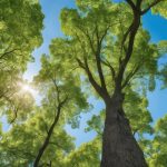 What Are Arborist Services for Tree Safety? 3 tree safety professional services